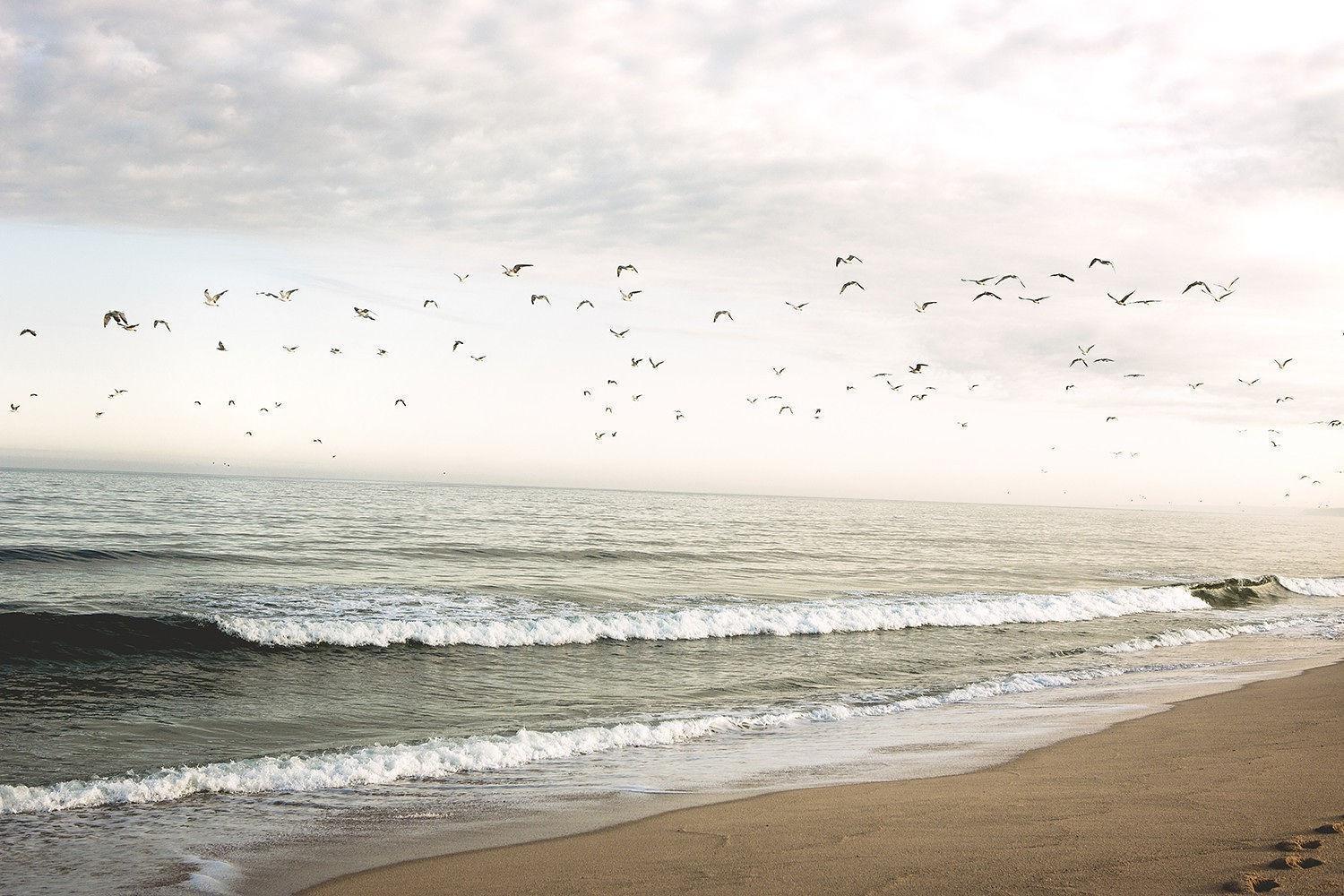 Noah Surf House Portugal Hotel ซานตาครูซ ภายนอก รูปภาพ